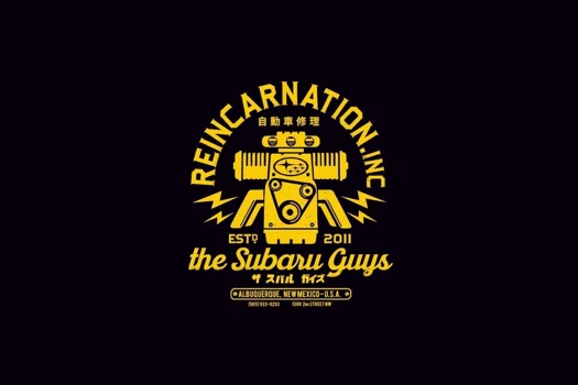Reincarnation Inc Promo Codes & Coupons