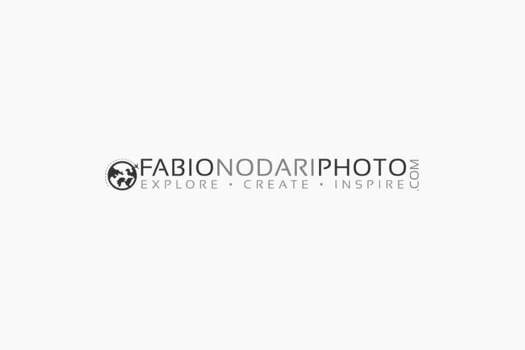 Fabio Nodari Promo Codes & Coupons