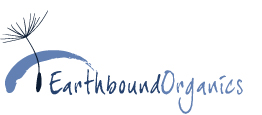 Earthbound Promo Codes & Coupons