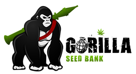 Gorilla Seed Bank Promo Codes & Coupons